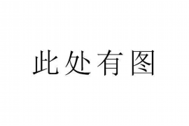 石家庄对付老赖：刘小姐被老赖拖欠货款